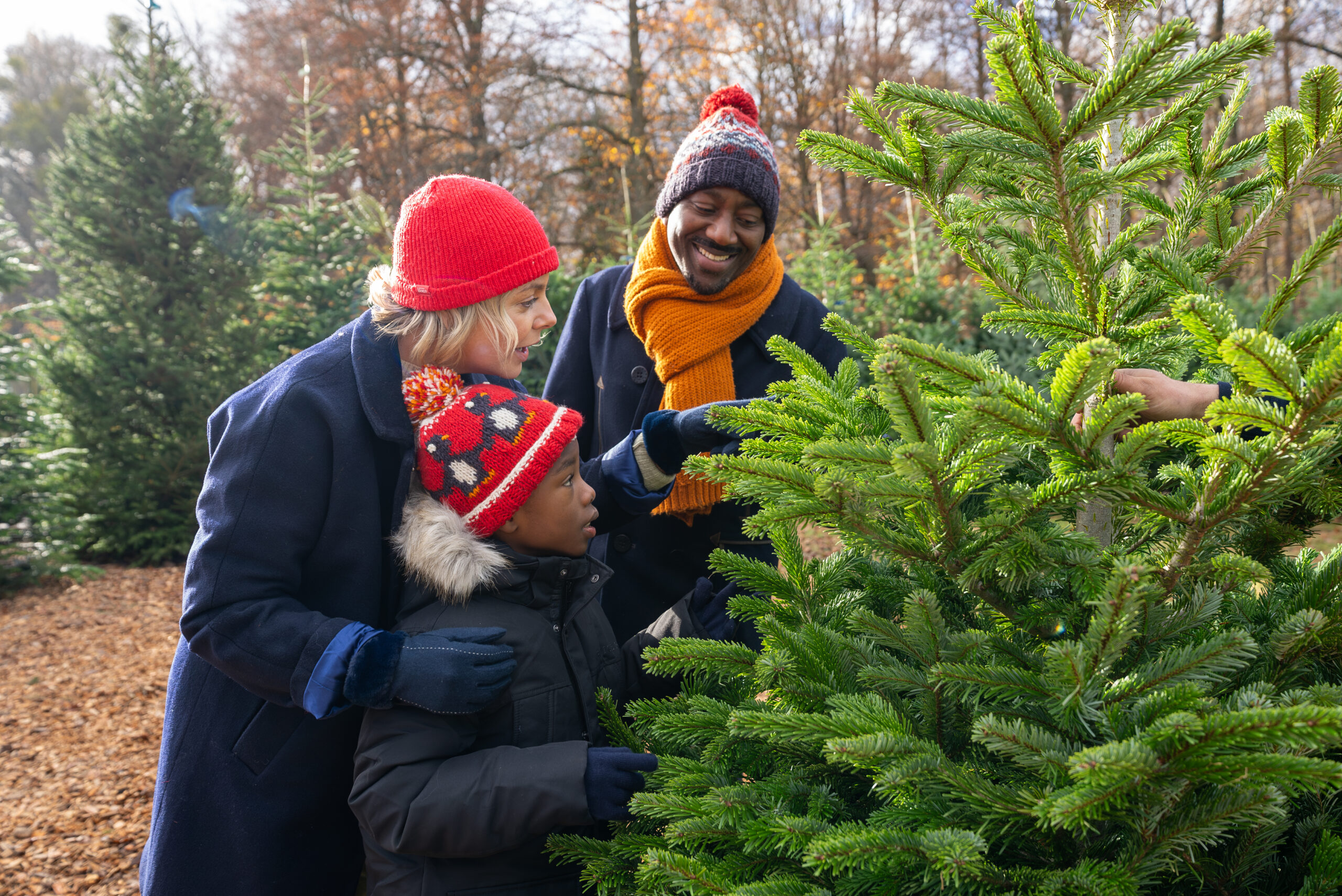 Multi ethnic family looking at a Christmas Tree.