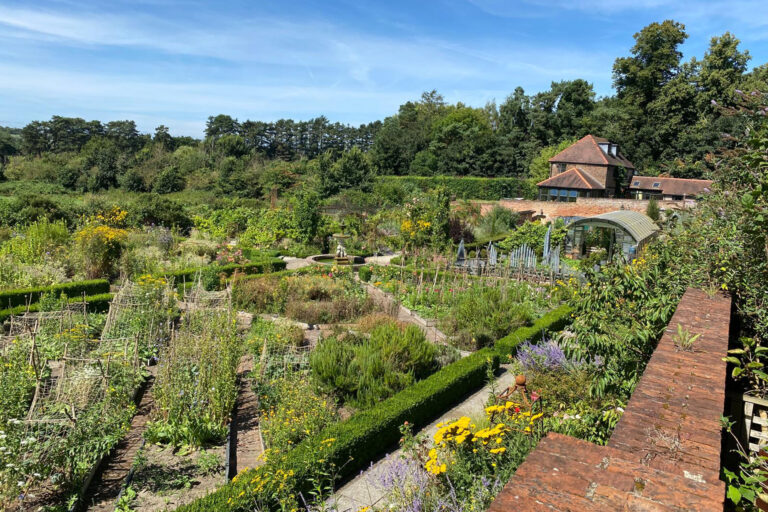 A Walled Garden with vegetables growing, and a polytunnel.