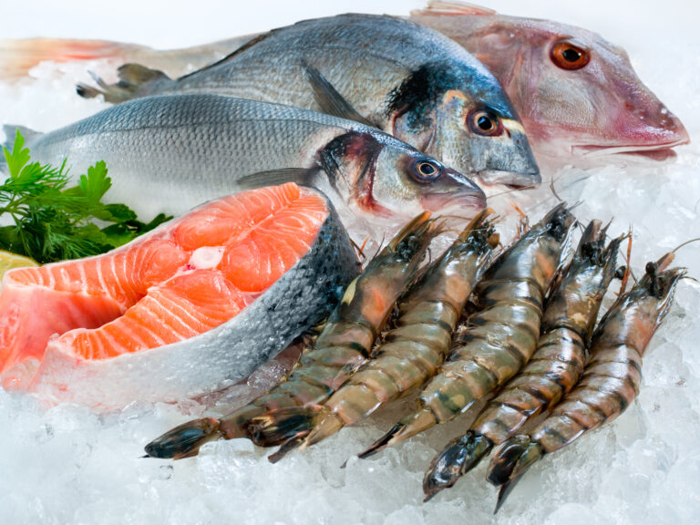 A selection of fish and shellfish on a bed of ice.