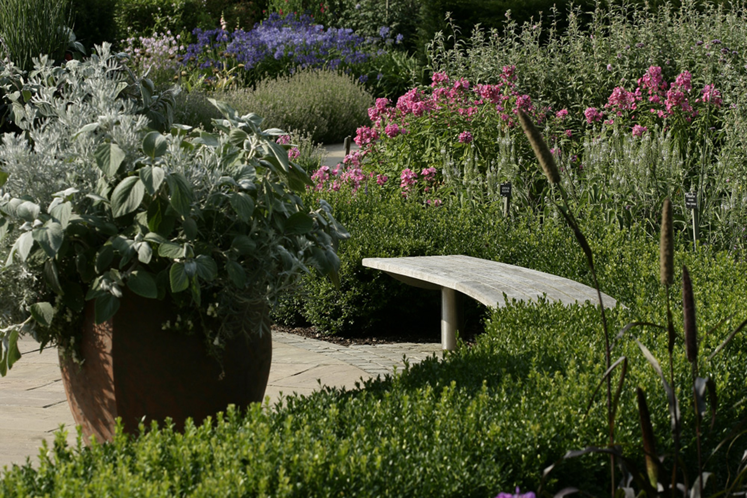A wooden bench in the Golden Jubilee Garden.