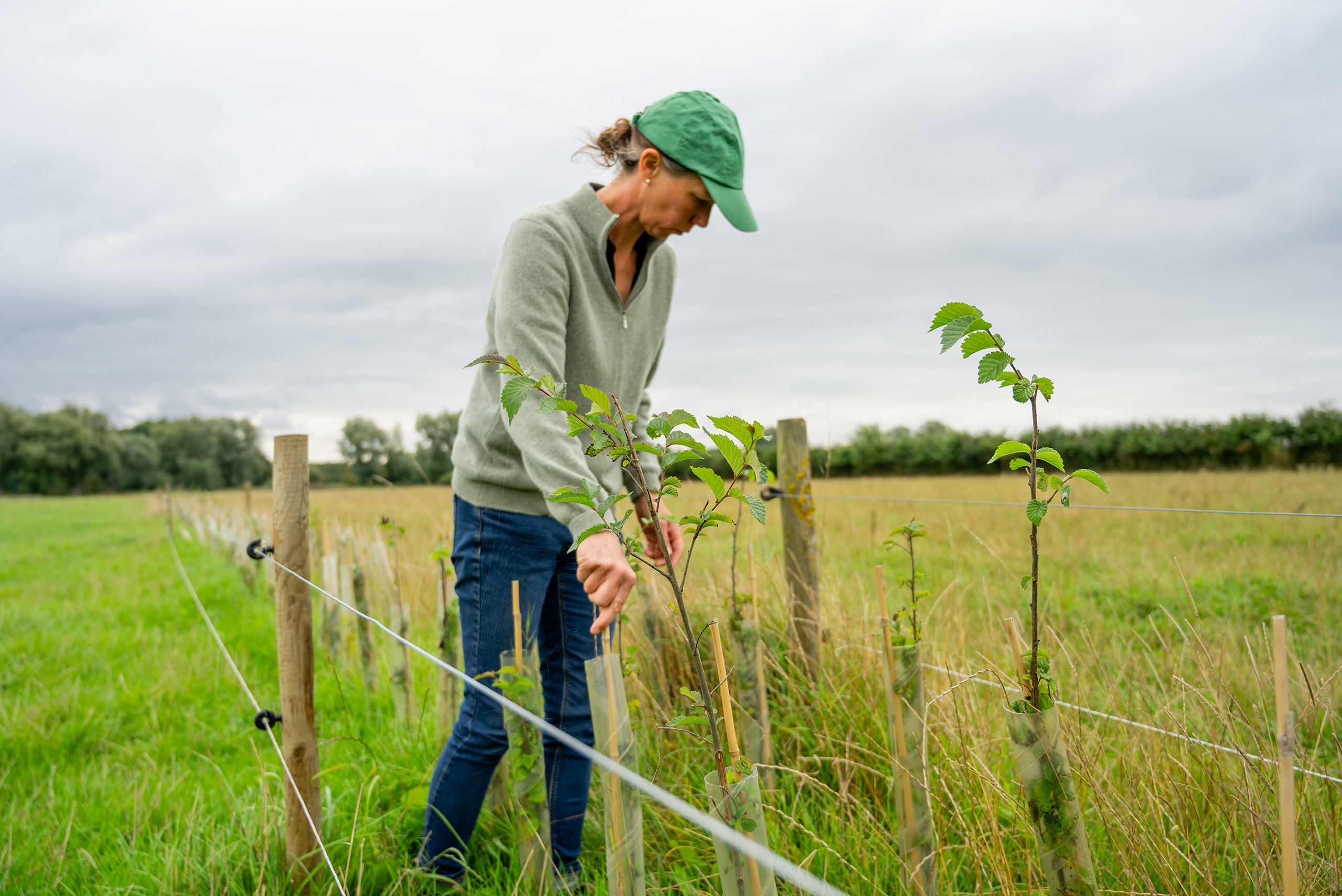 A person checking hedgerow in a field.