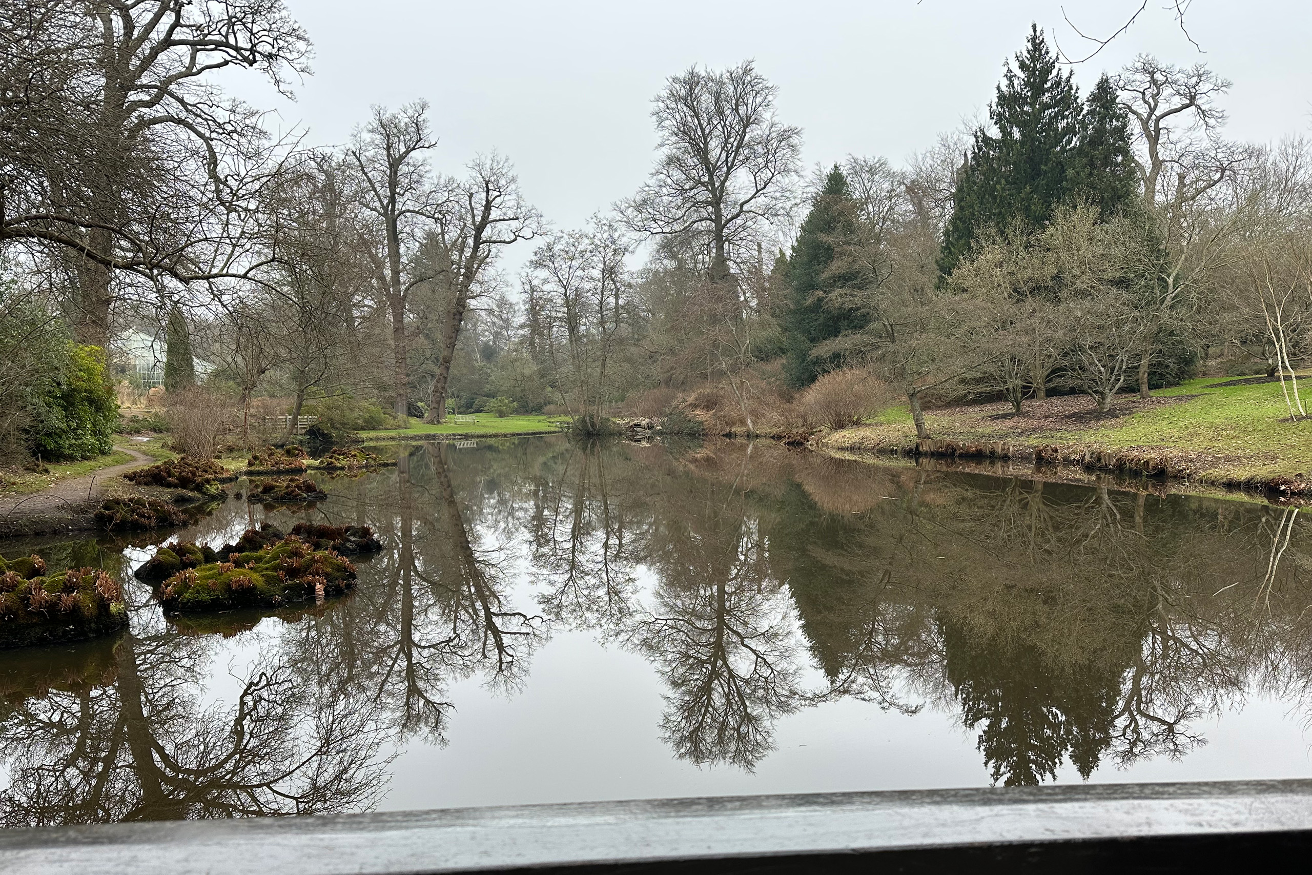 A lake with trees reflected into the water.