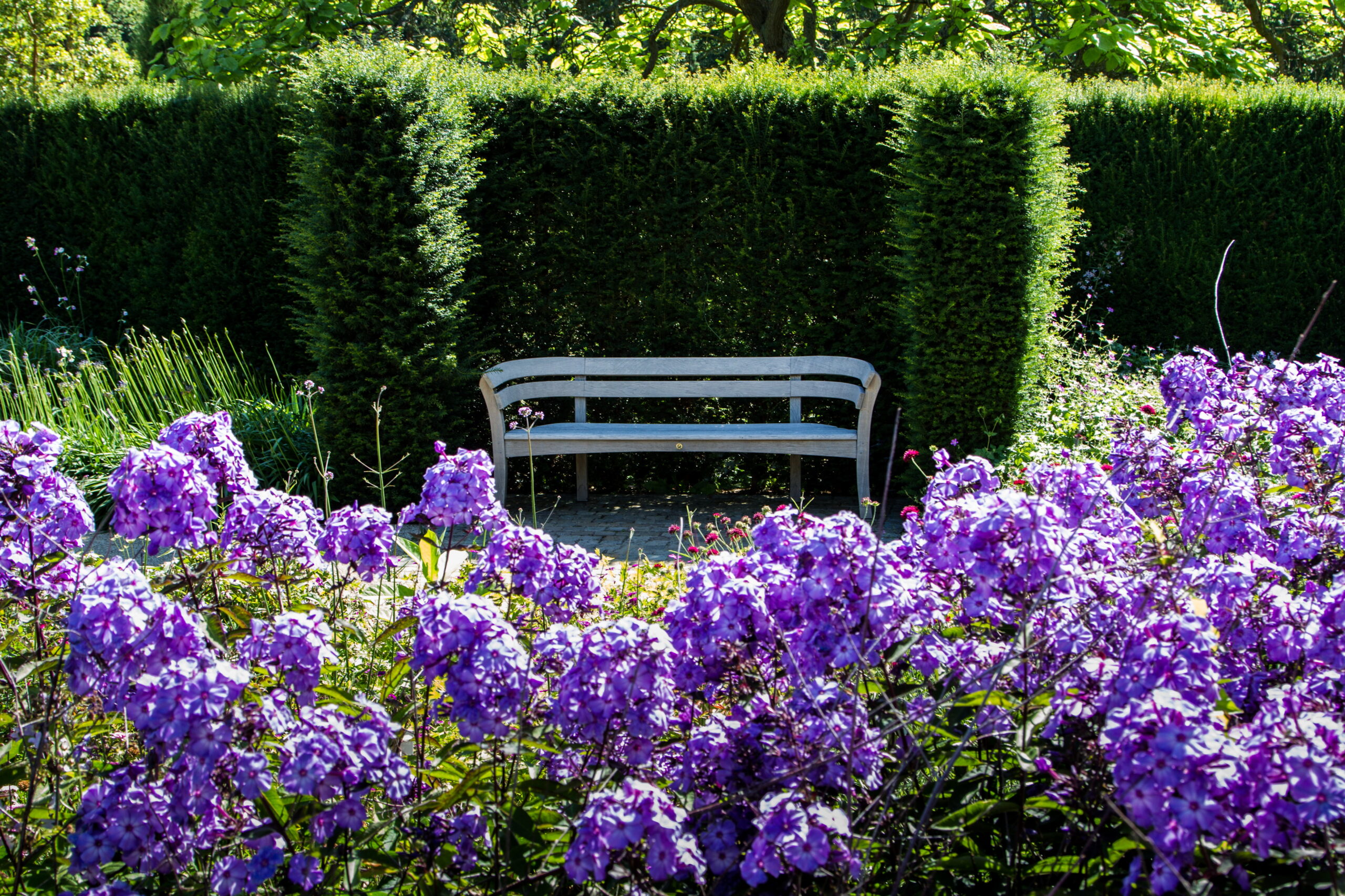 A Gaze Burvill bench in the Golden Jubilee Garden.