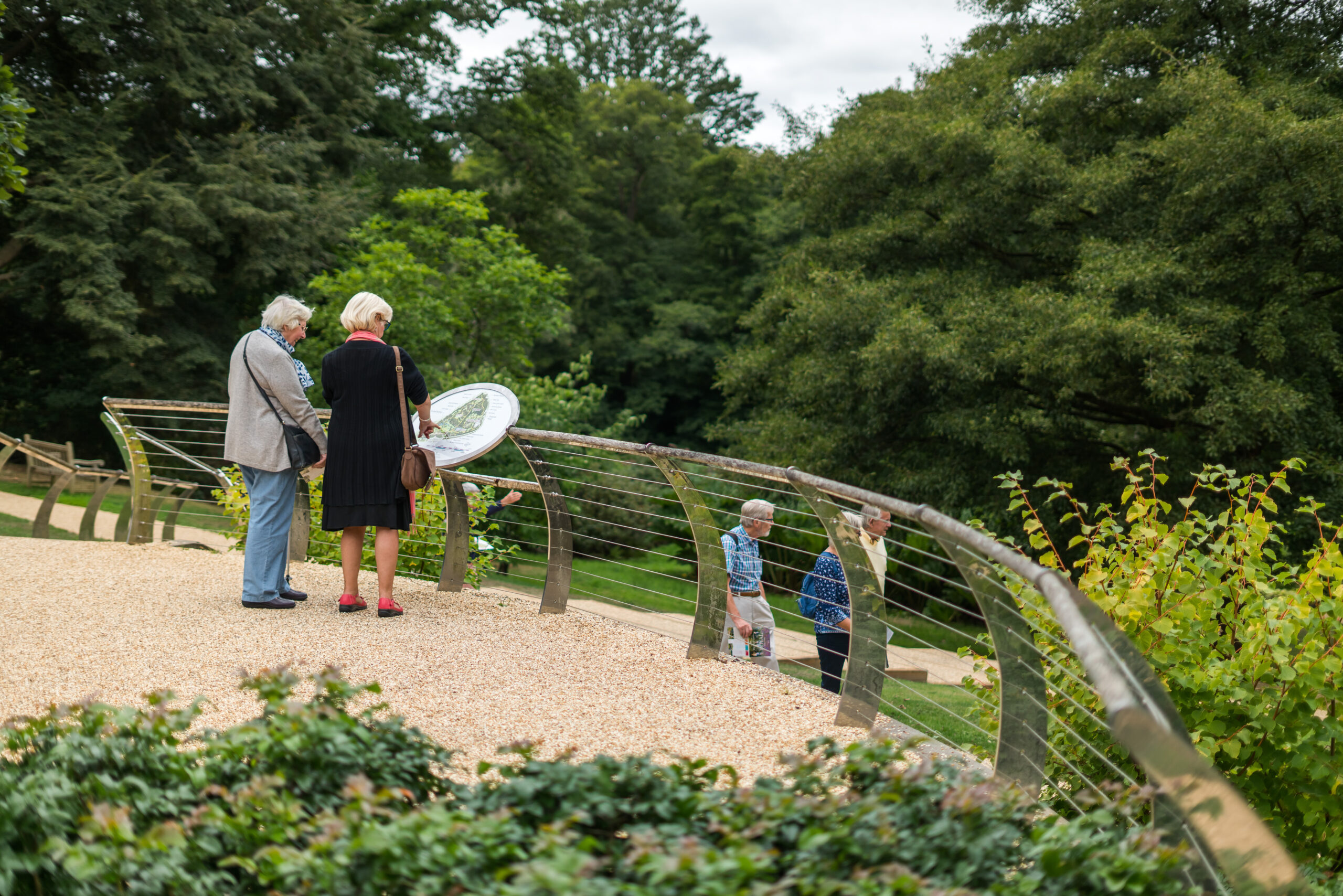 Visitors standing in front of a map overlooking The Savill Garden.
