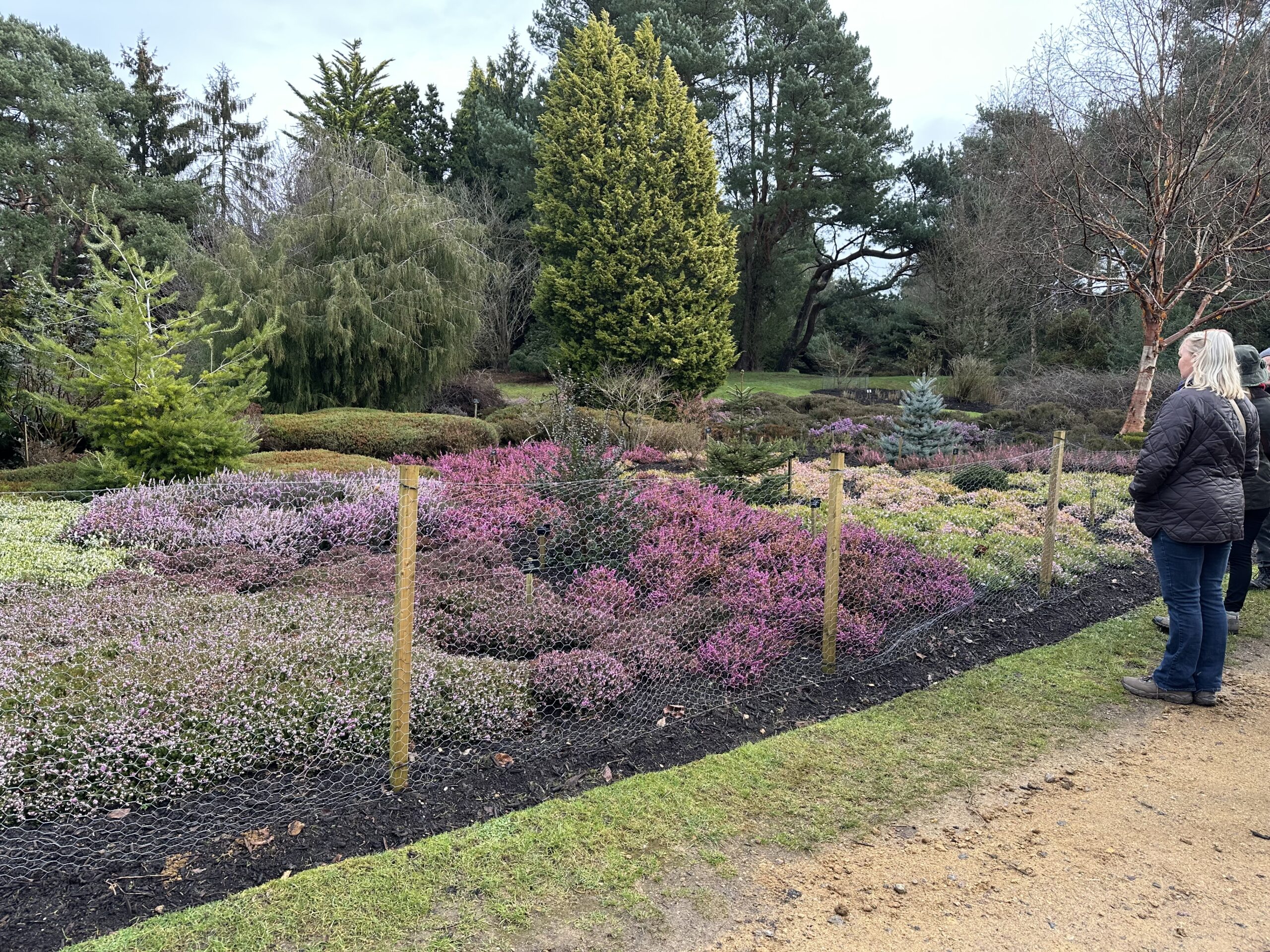 Flower beds being replated.