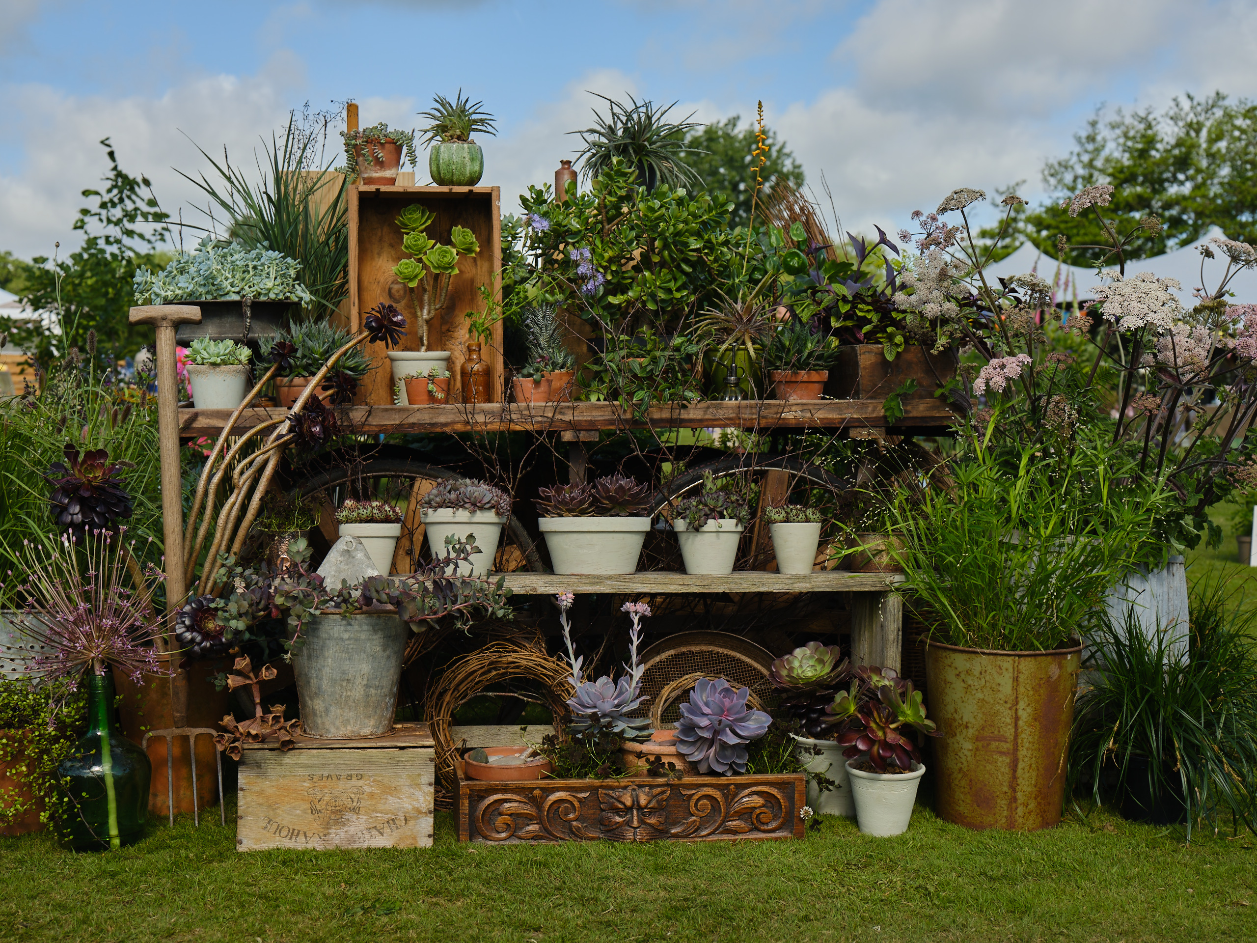 An outdoor floral display.