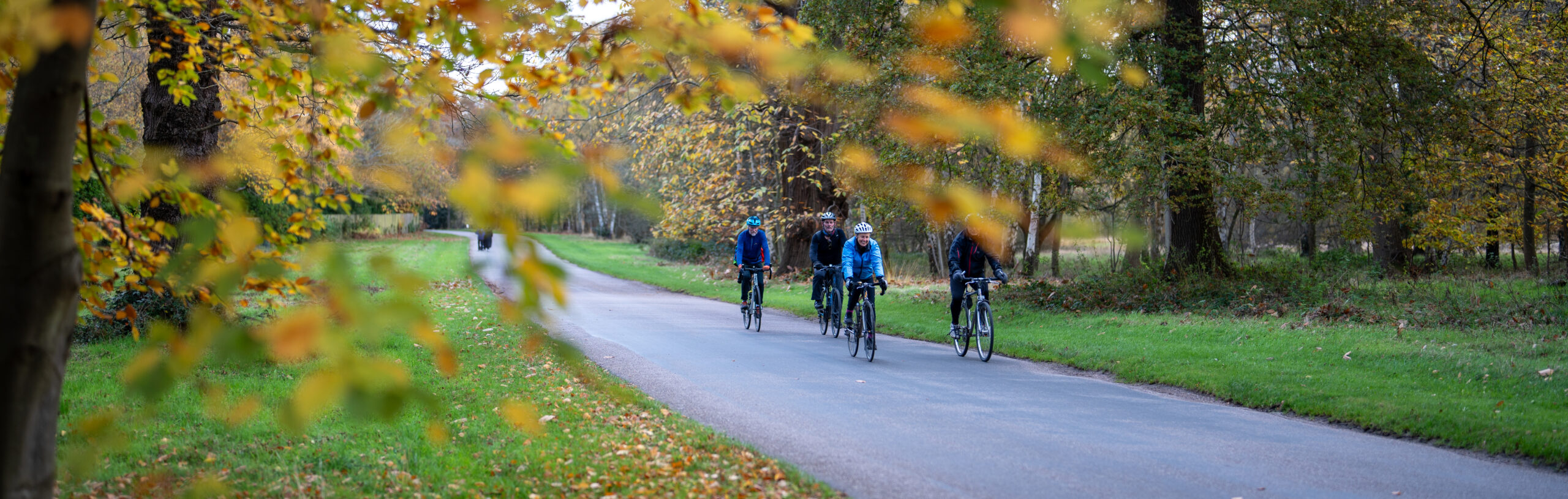 Four adults cycling on a path in the Autumn.
