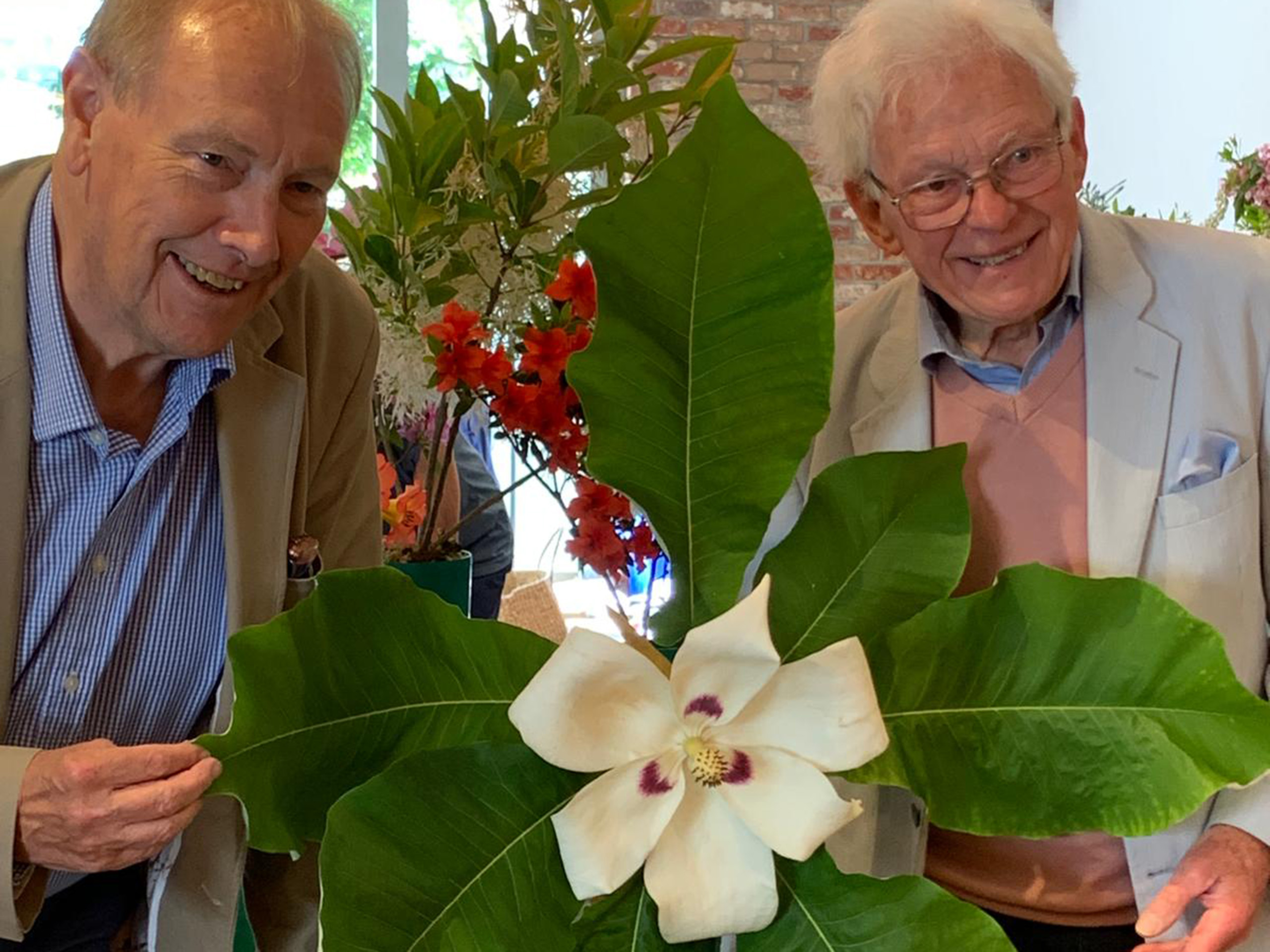 Two people standing beside a magnolia cutting with large leaves and one large creamy-white flower.