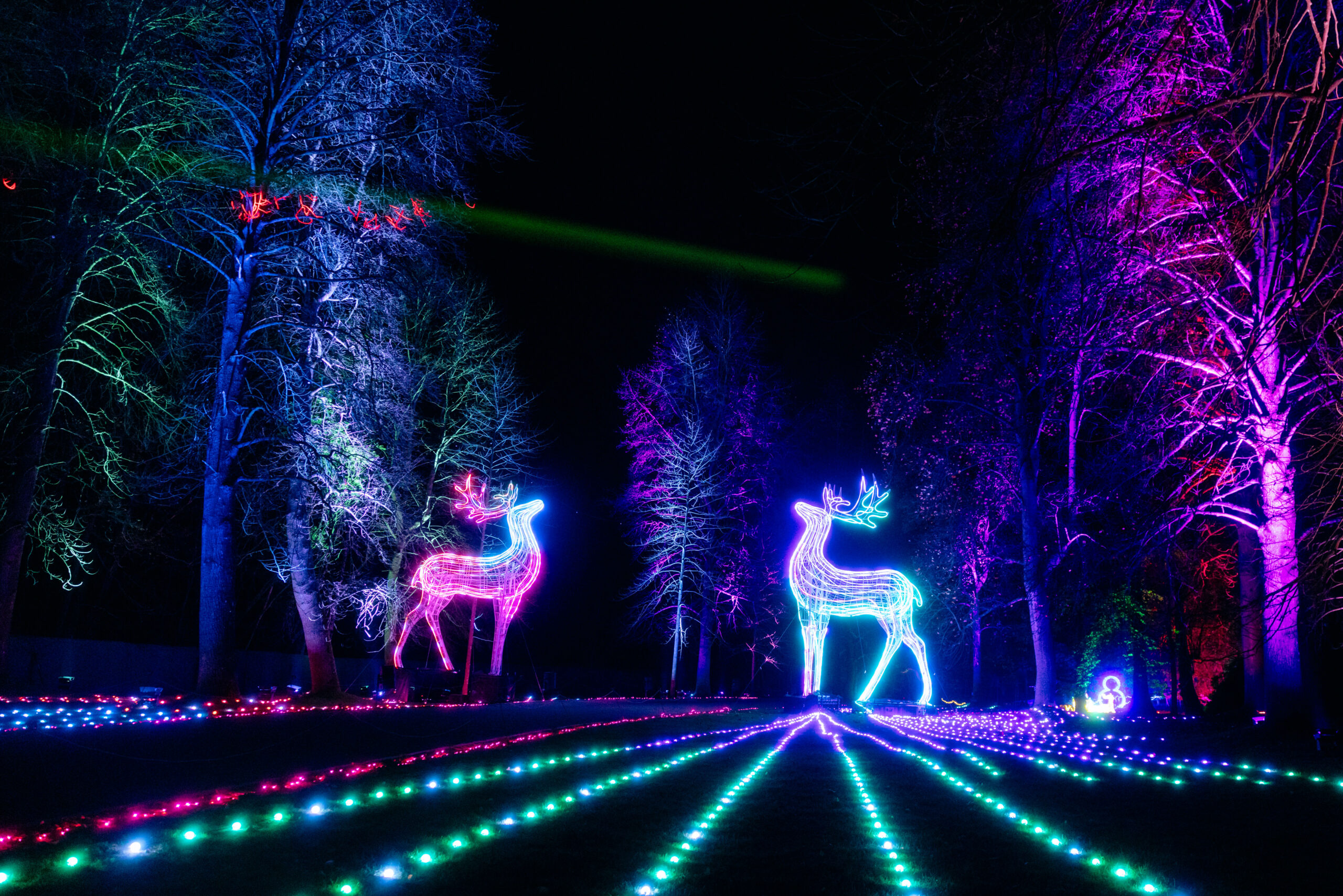 Colourful lit display of Deer shaped frames trees and ground scaled