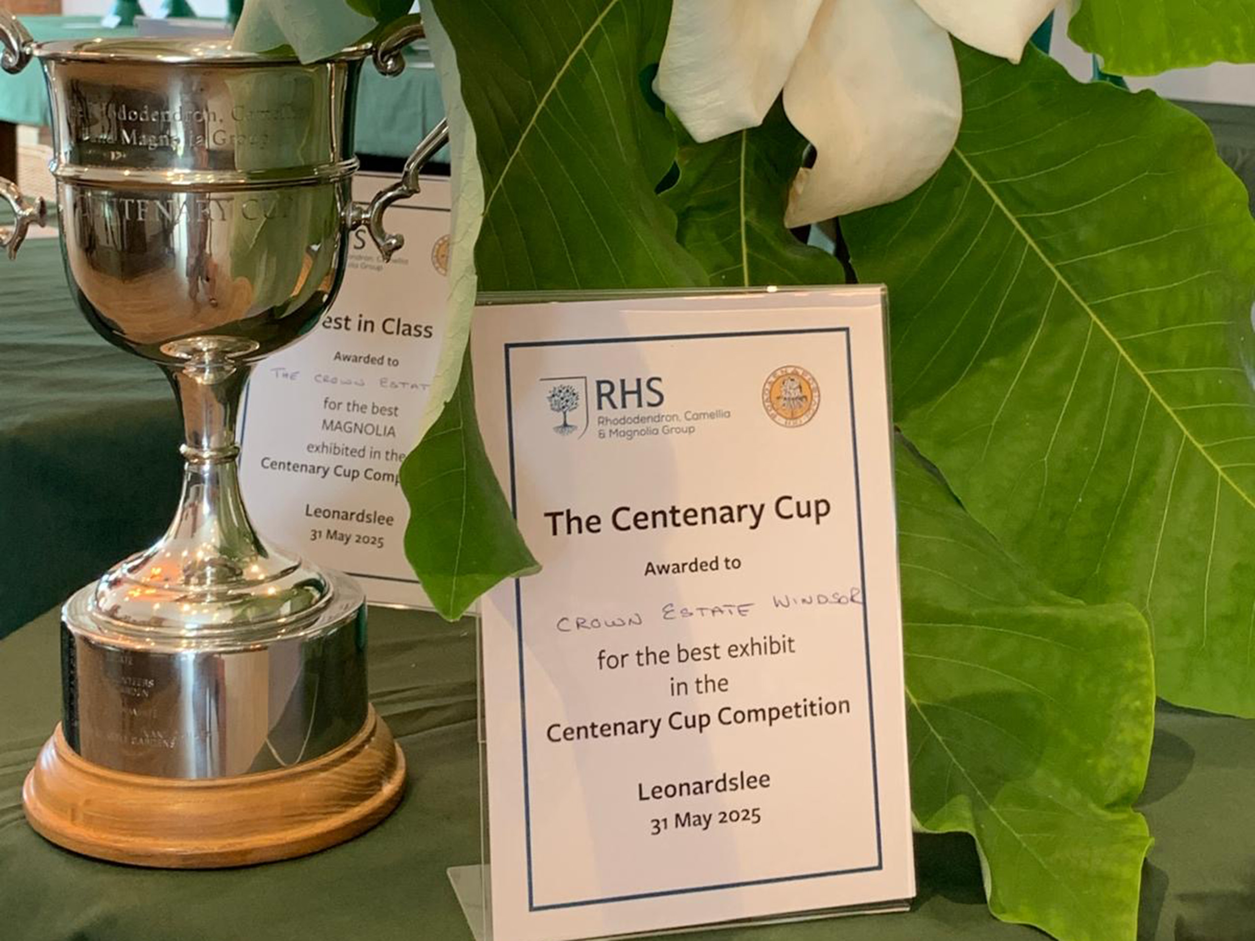 A trophy cup and certificate standing on a table.