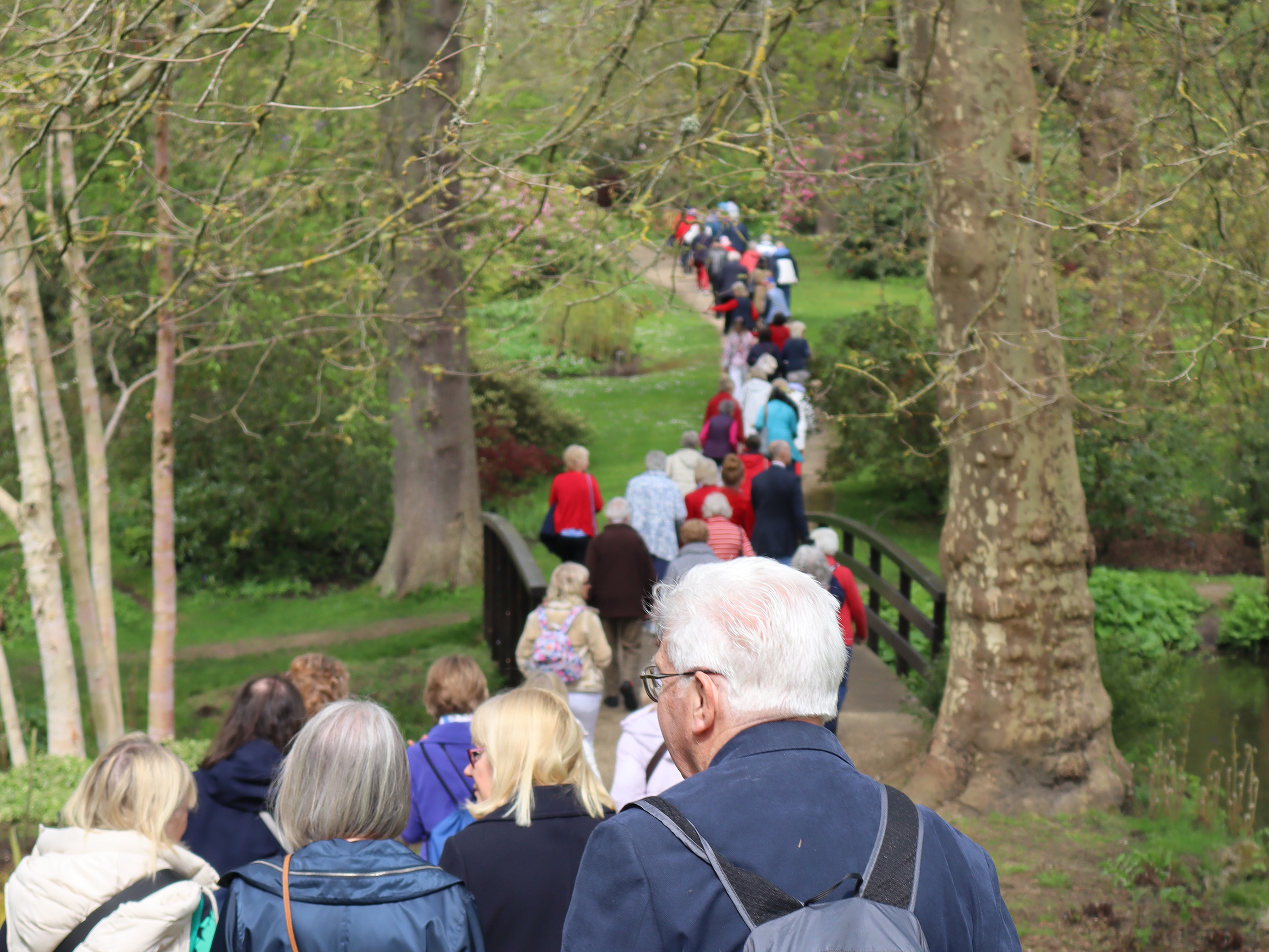 A line of people walking along a footpath.