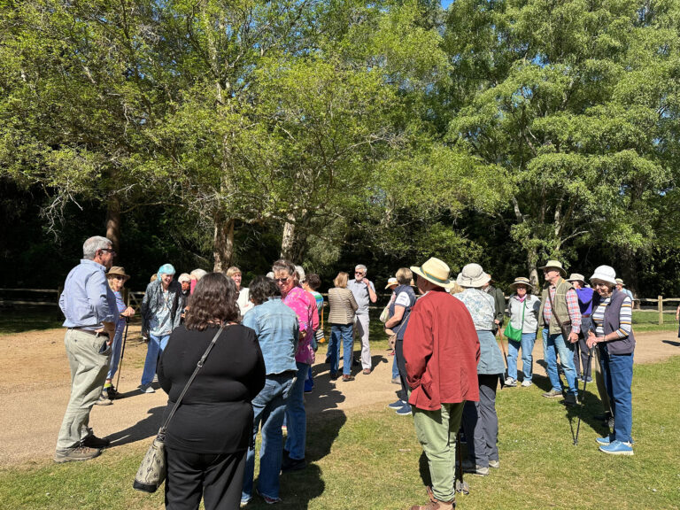 A group of people standing on a lawn with trees behind them.