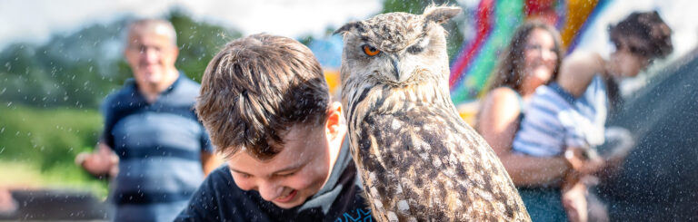 A child holding a large owl on his arm.