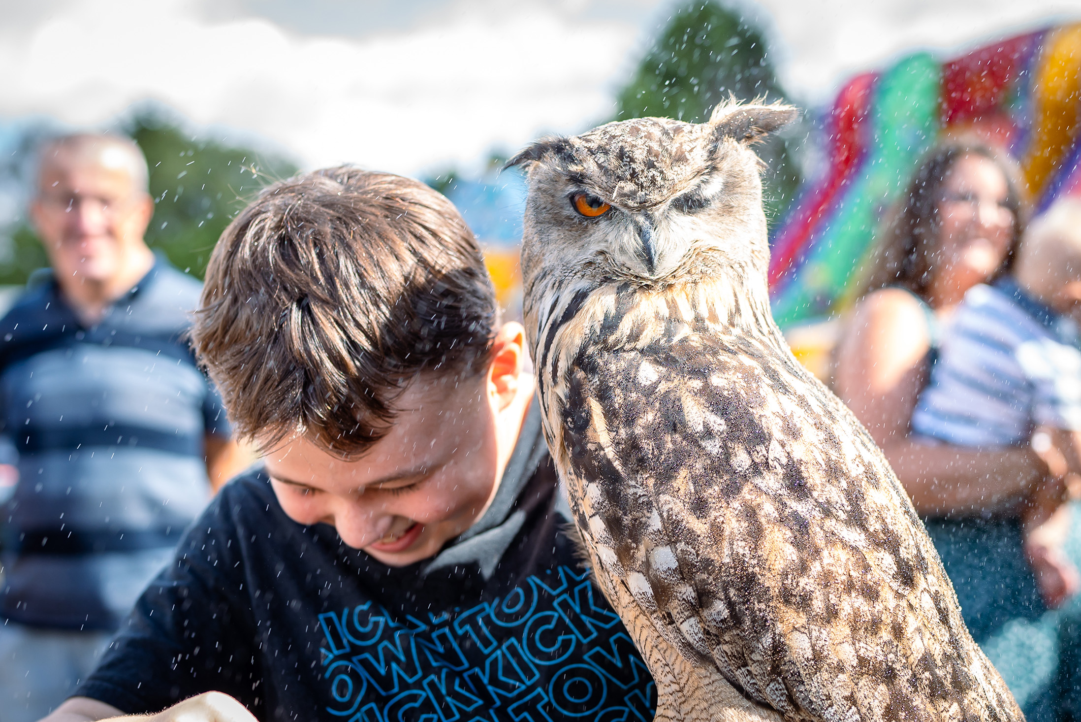 A child holding a large owl on his arm.
