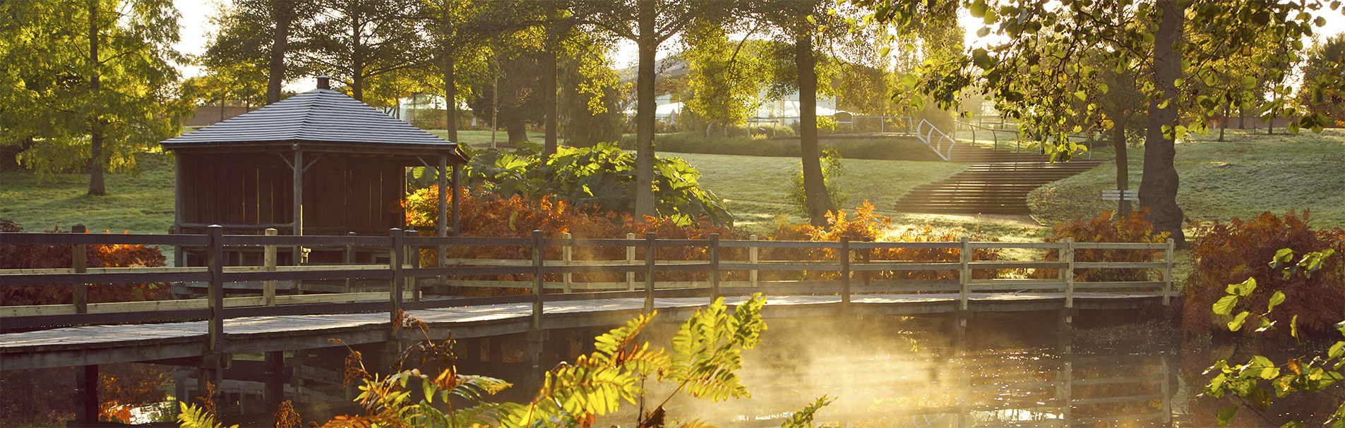 Casson Bridge at The Savill Garden with autumn mist and sun shining.