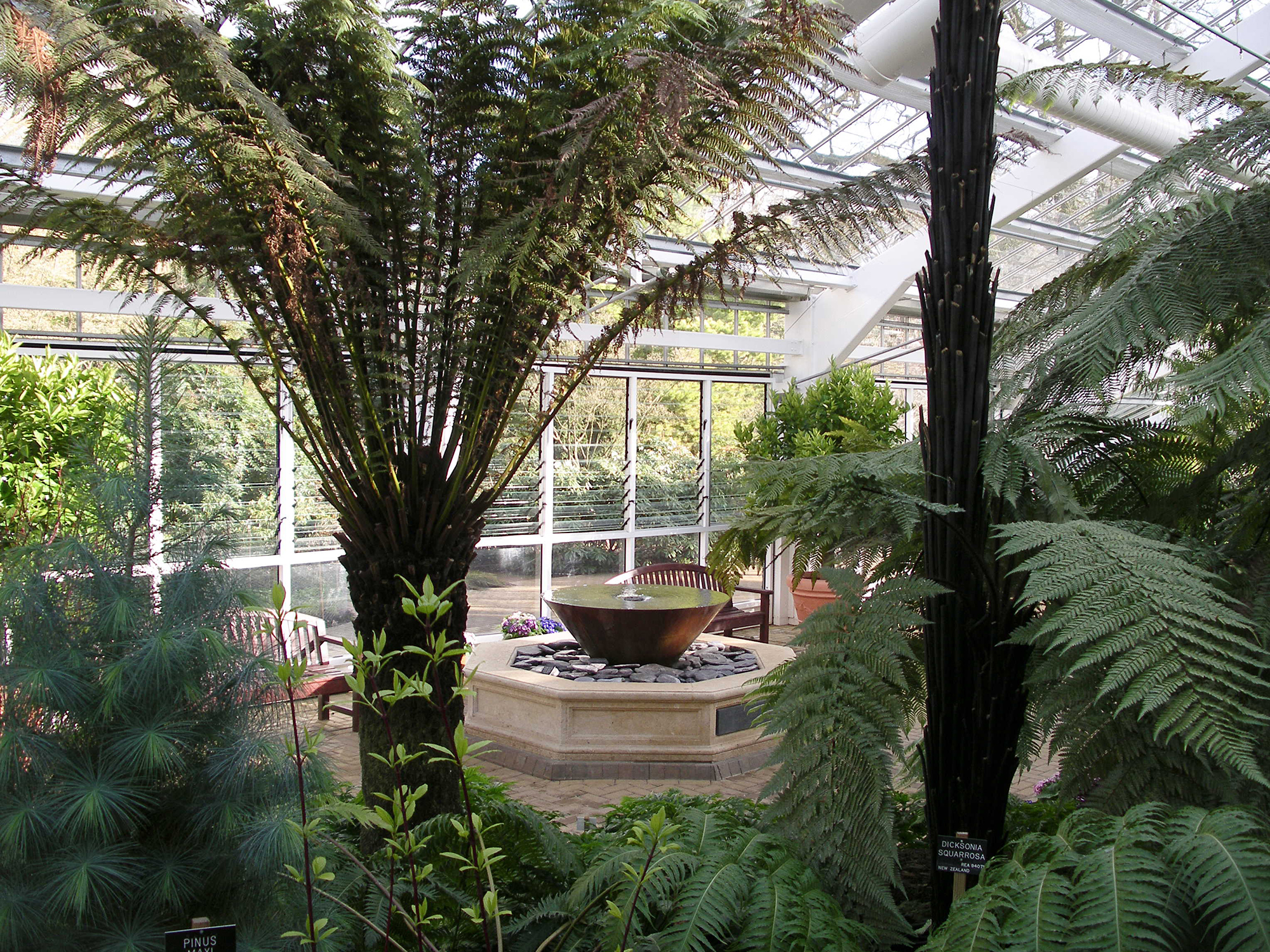 Queen Elizabeth II Temperate House