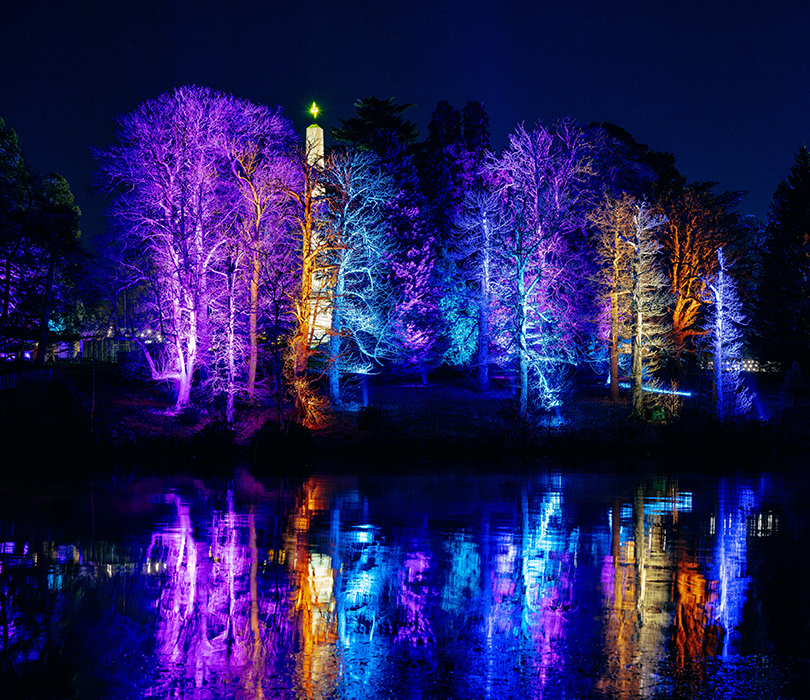 Trees lit up with colourful lights which are mirroring effects on a lake.