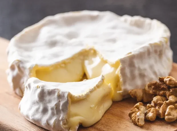 shutterstock 1244566162 e1761647371901