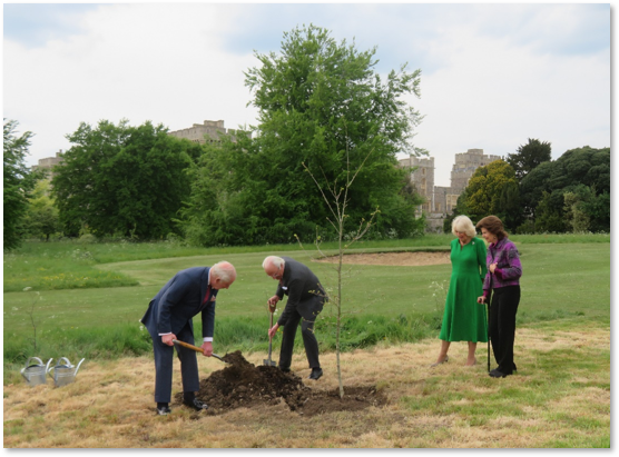 His Majesty King III, along with The King of Sweden Carl XVI Gustaf, planting a gifted Swedish Oak in Home Park Private, accompanied by Her Majesty Queen Camilla and Queen Silvia of Sweden

