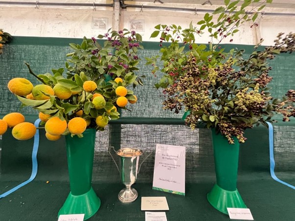 Plant cuttings displayed in a green vase with a trophy beside it.