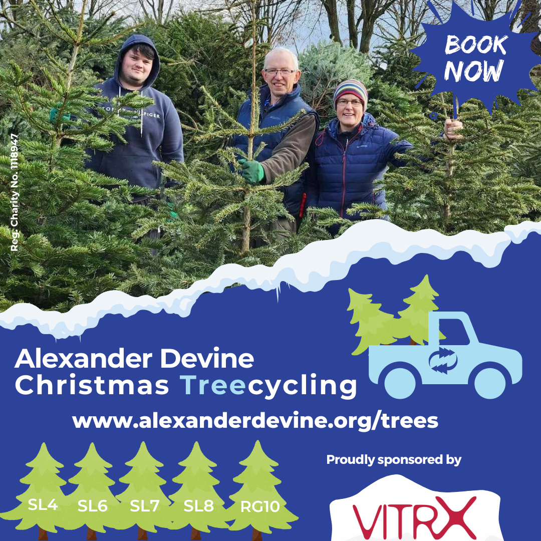 Image block promoting the Thames Hospice Christmas Tree Collection service.