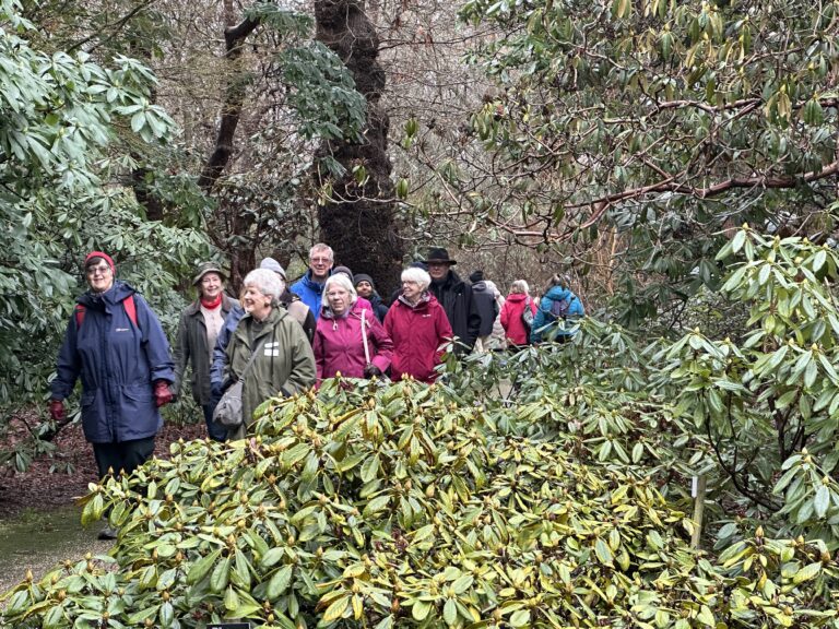 Photo A Welly Walk Group