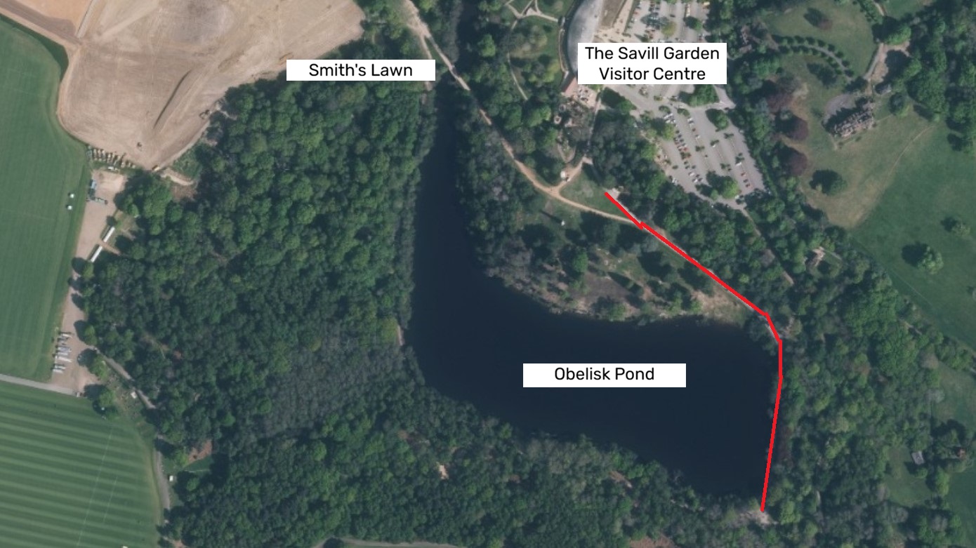 A large black and white dog sits on grass on the left side of the picture. It the background is a person holding the reins of a black horse.