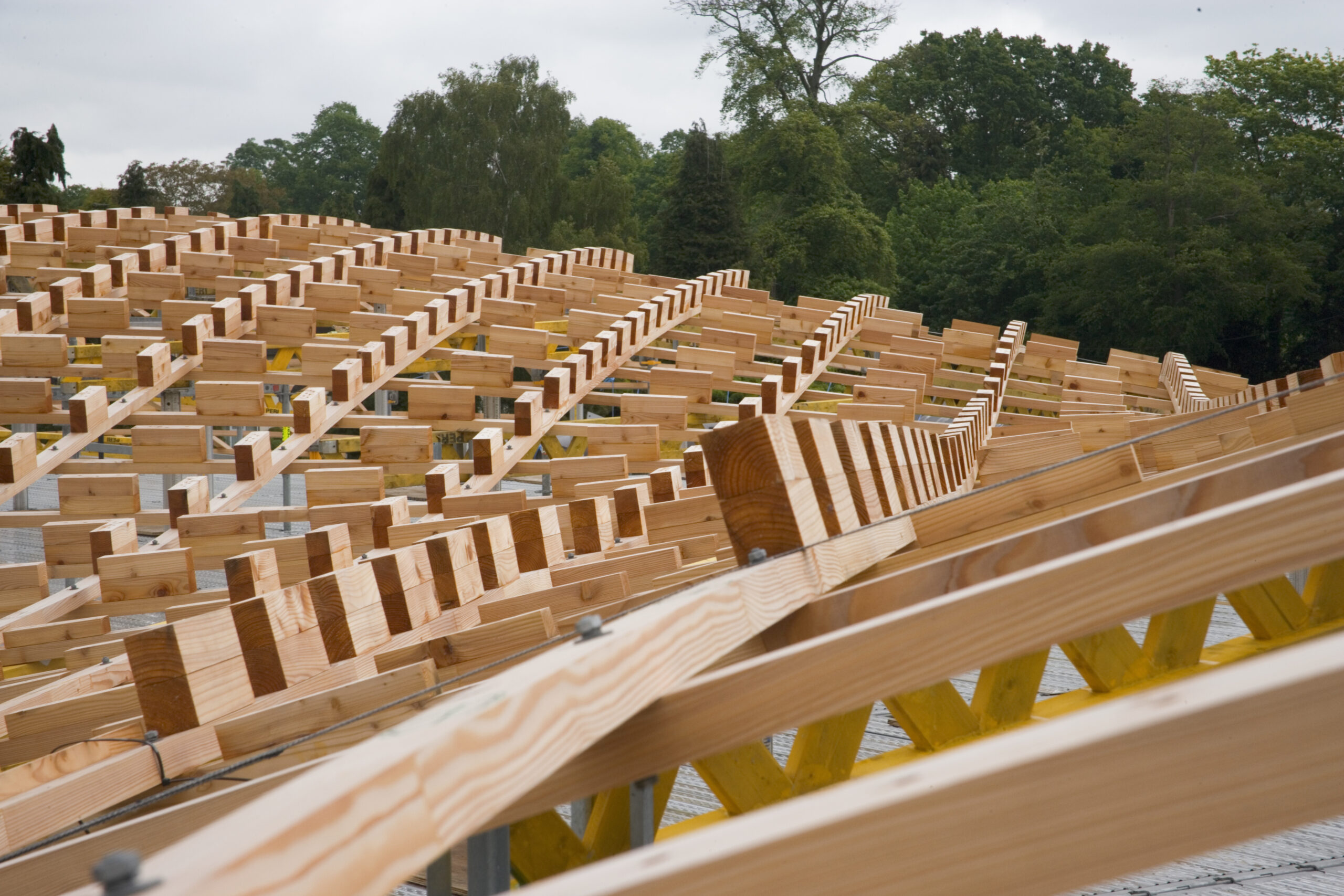 Complete gridshell of The Savill Building.