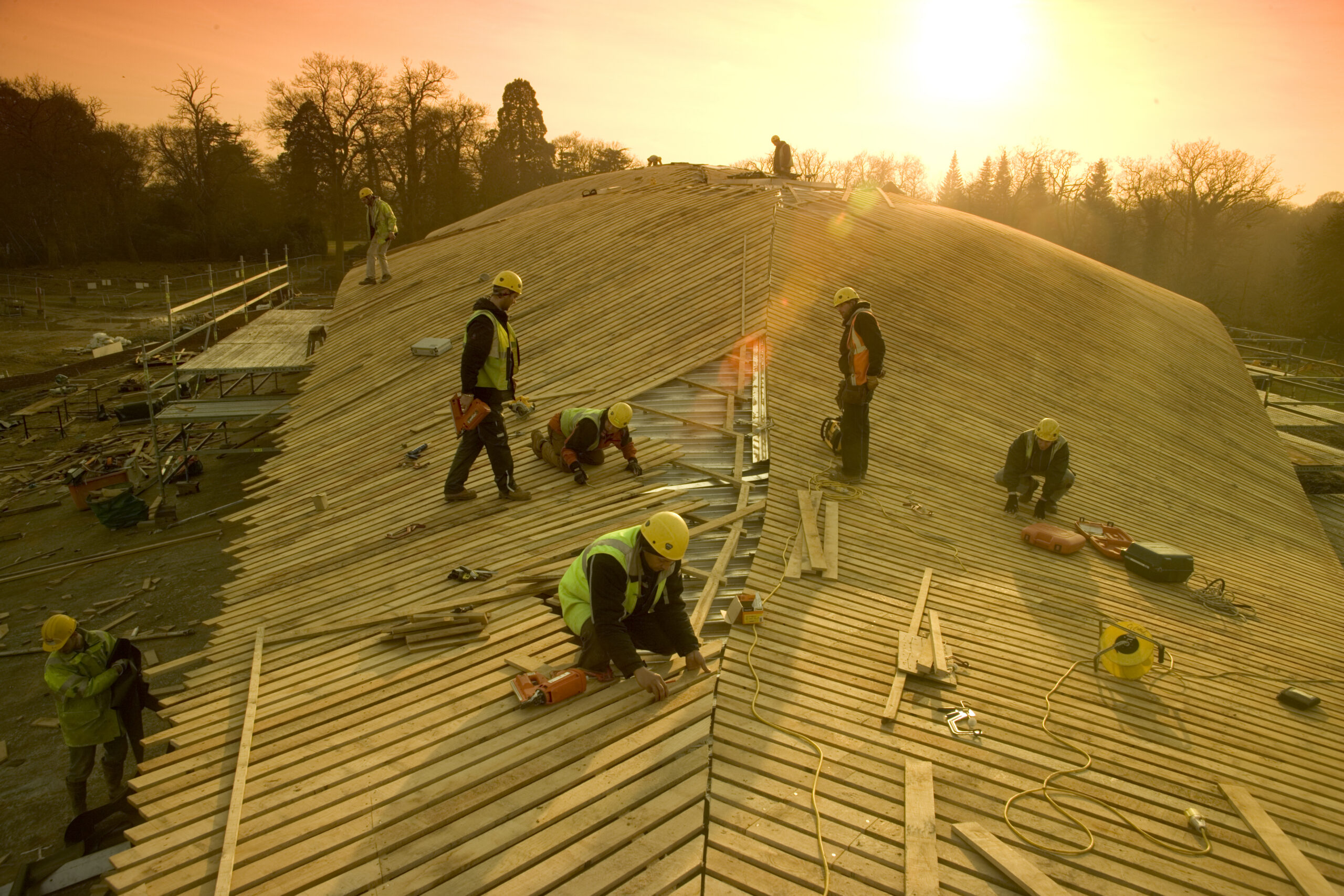 The Savill Building roof construction - laying the oak rainscreen.