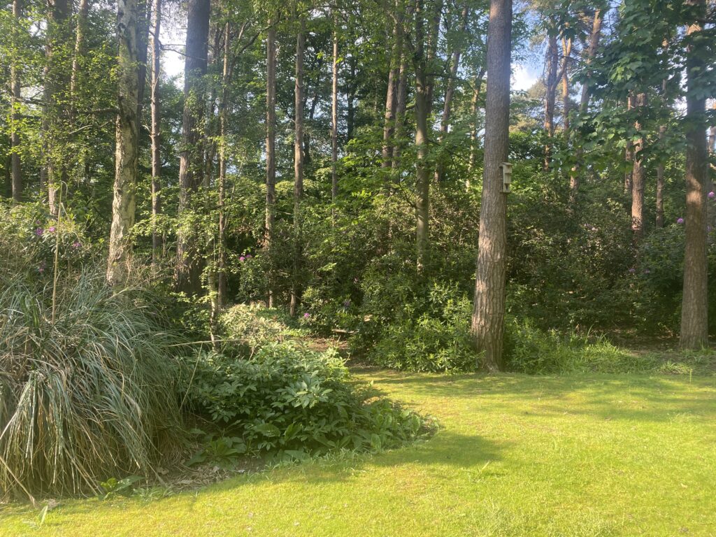 View of the garden. Heathlands, Swinley Road, Ascot.